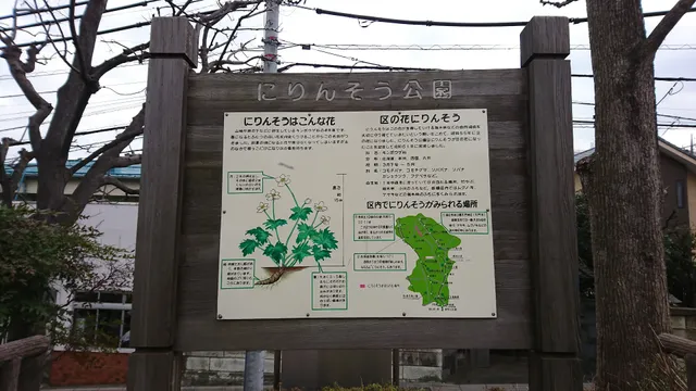 Nirinso Park