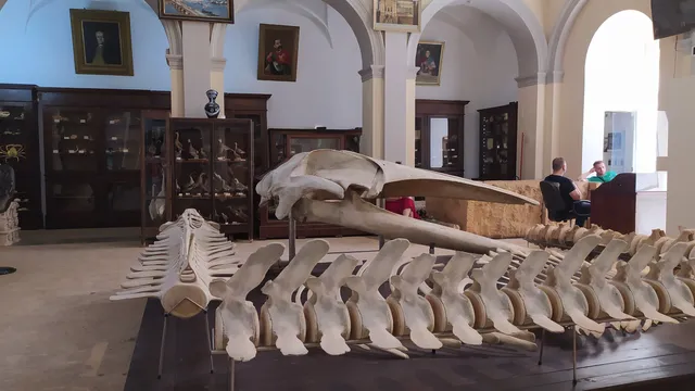 Museo Civico "Emanuele Barba"