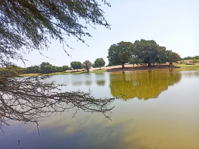 Darbari Lake