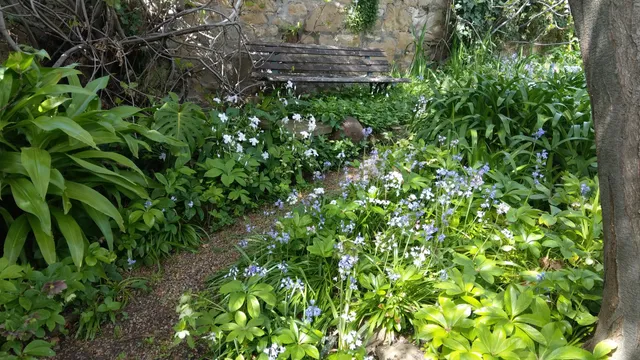 Markree House Museum and Garden