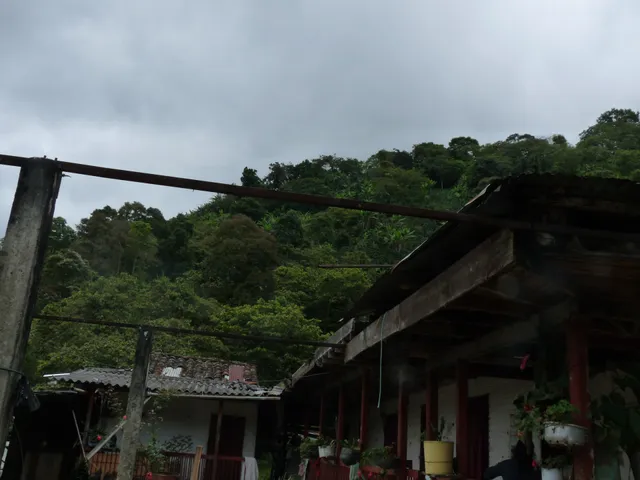 La Tienda Del Buen Vivir/ Cafés Origen Pijao.