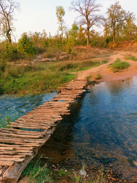 Dumardih Picnic Spot