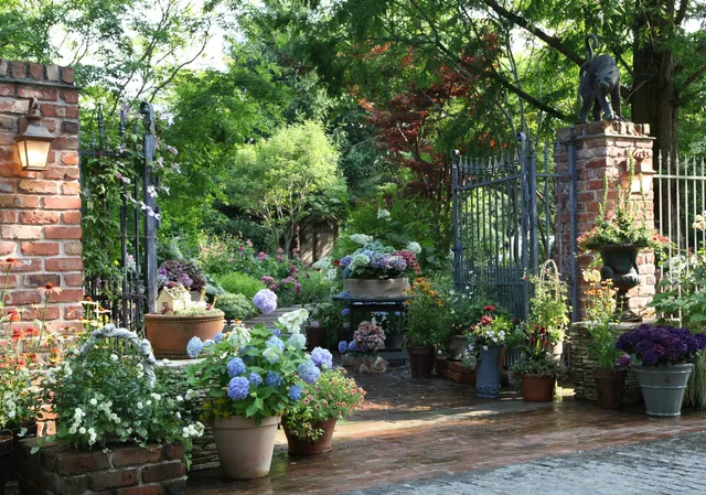 photo-2