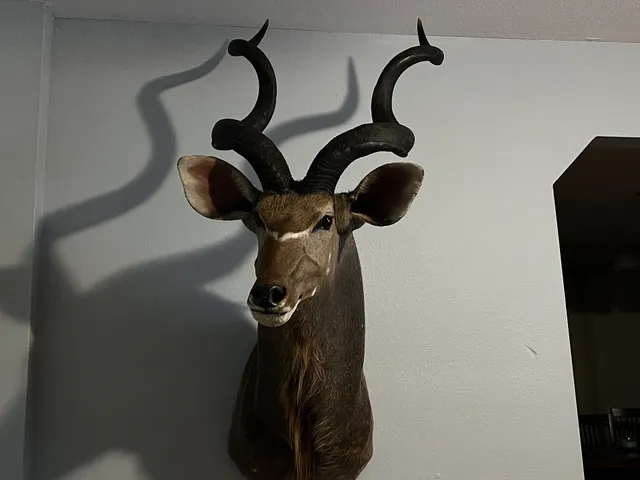 Nicole's Fishing Bed & Breakfast