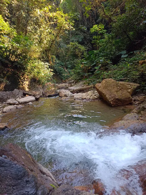 Sendero turístico "Lluvias Eternas"