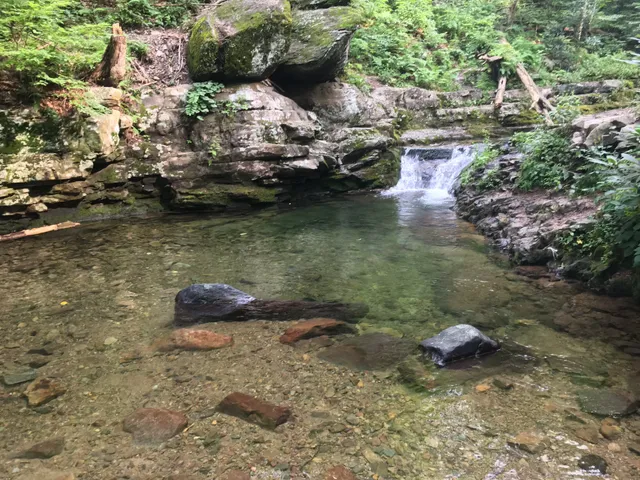 Dunnfield Creek Natural Area