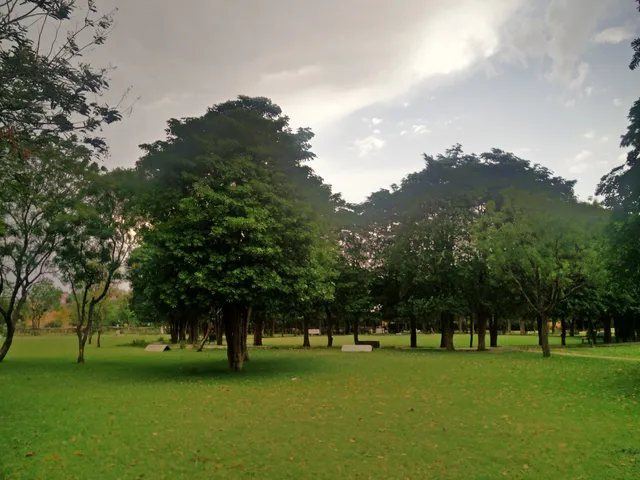Swarn Jayanti Park and Kishan bag