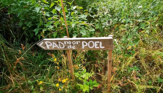 Paradijsvogelbosje Oosterwold