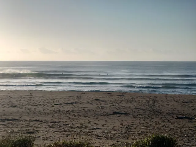 Tosa Seinan Great Park Ogata Area