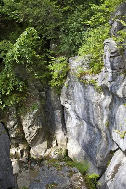 Natural Bridge State Park