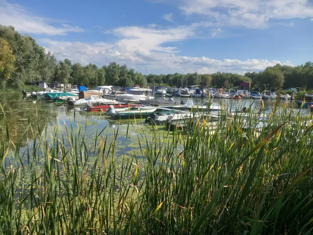 Tündérrózsa Hajókikötő