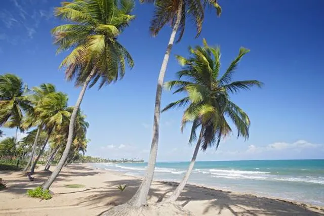 Palmas del mar beach