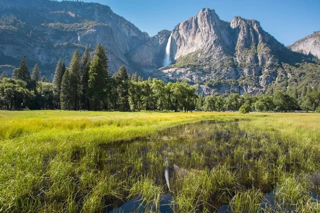 Cook's Meadow Loop Trailhead