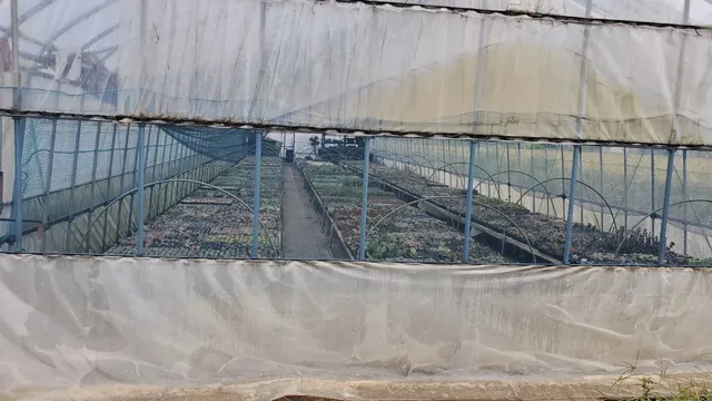 株式会社多肉永遠