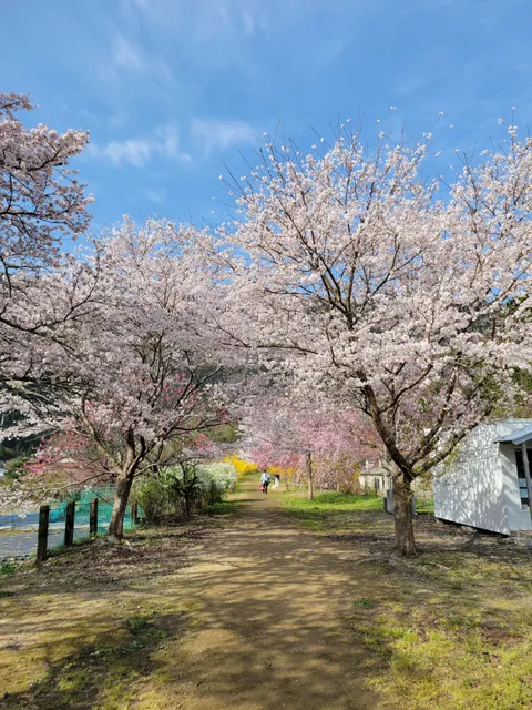 Yasuno Hananoeki Park
