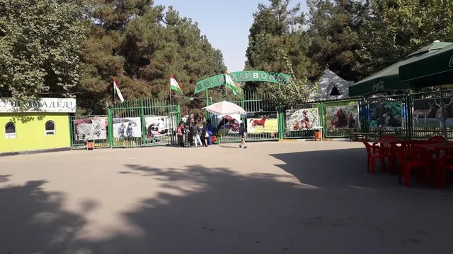 photo-1