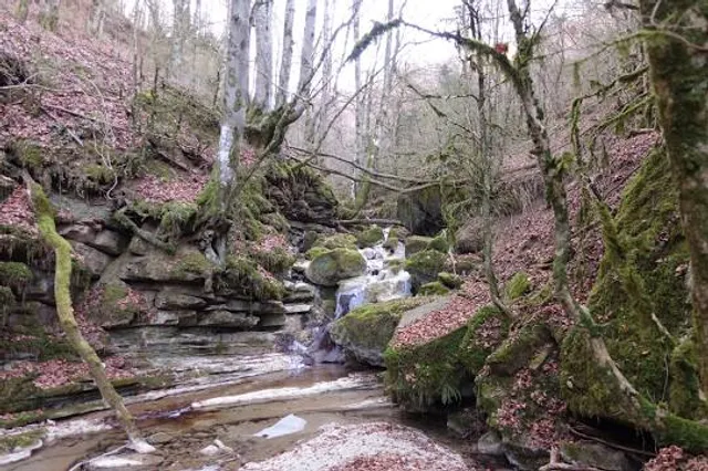 Torrent de la Masica