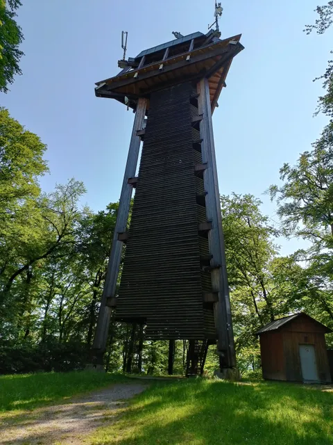 Vitibuckturm