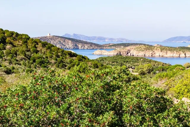 Spiaggia di Sa Perda Longa