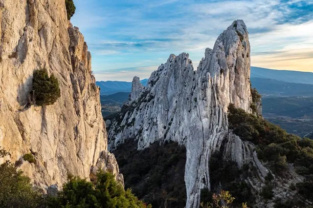 Dentelles de Montmirail