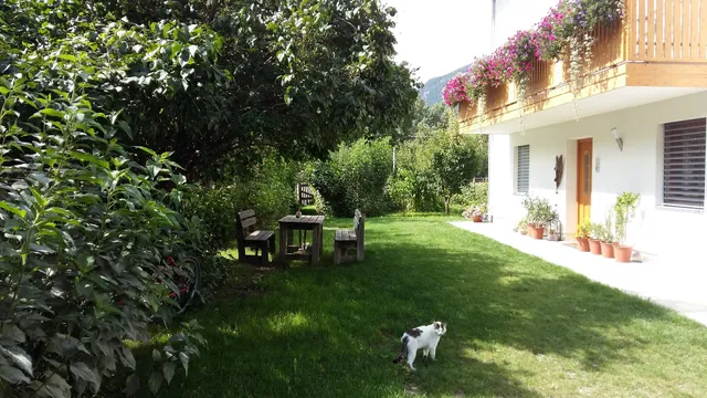 Ansteingut Urlaub Bauernhof