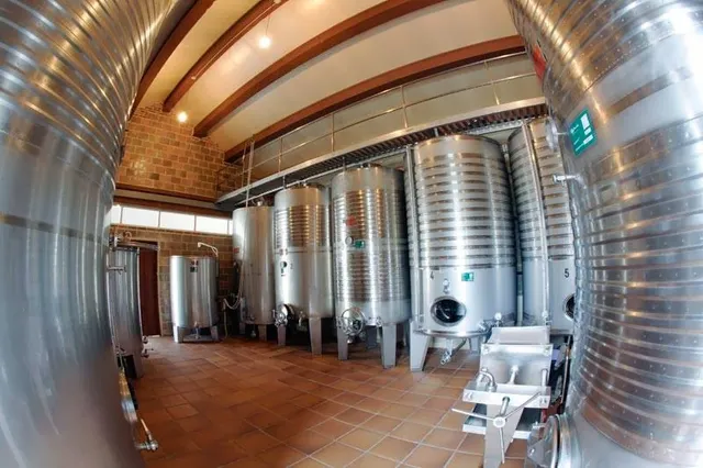 Enoturismo e Adega Lagar de Costa