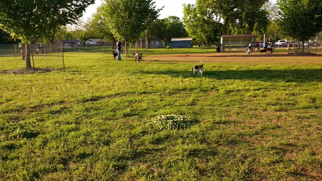 Stillwaggin' Dog Park