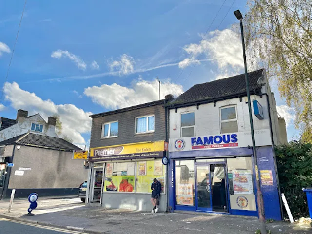 Famous Fried Chicken