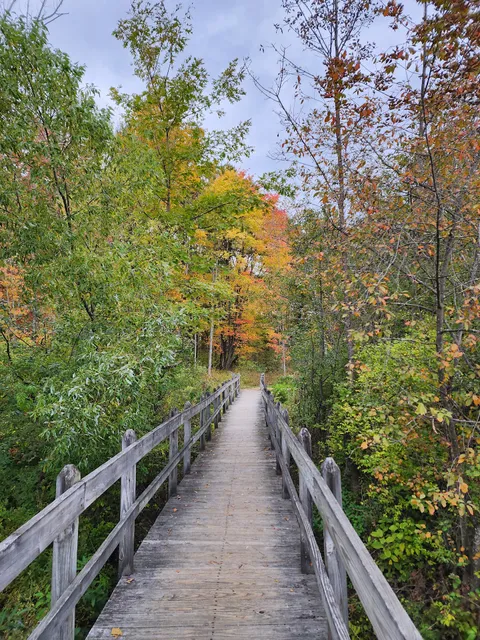 Cornell Lab of Ornithology