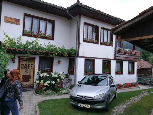 Guest House Terziiski