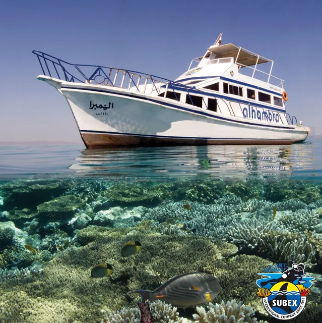 SUBEX Red Sea Diving Center