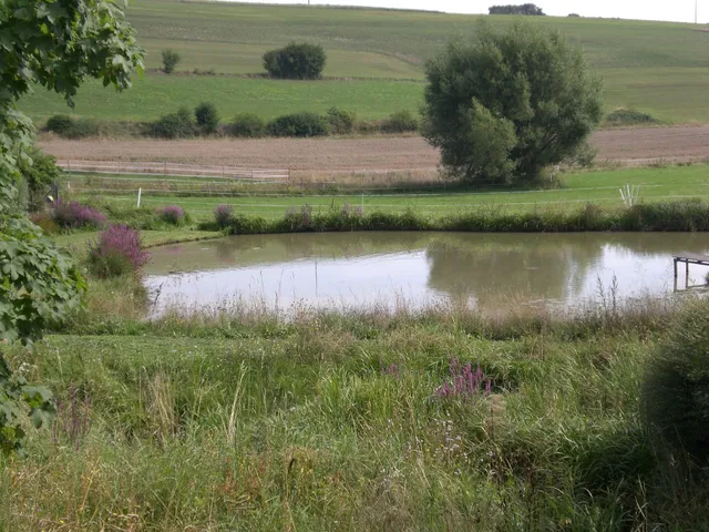 Ferienwohnung Anton im Steigerwald