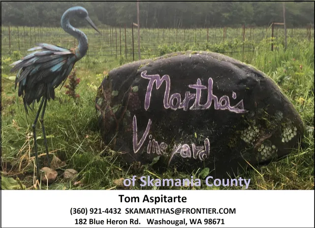 Martha’s Vineyard of Skamania County