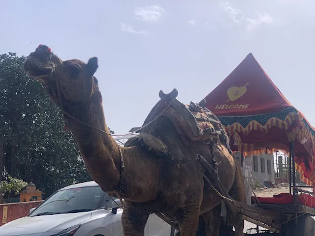 Hotel udai palace & cr7 pizzaria restaurant