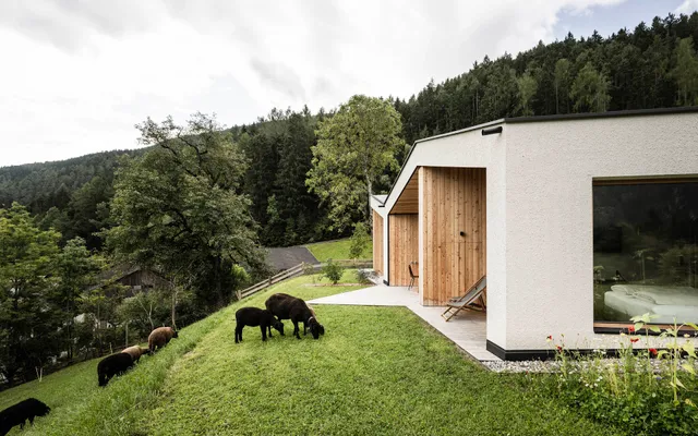 OBERPLUNERHOF Chalet & Farm Holidays