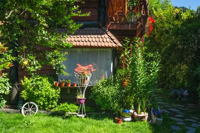 Cabañas arrayan choshuenco