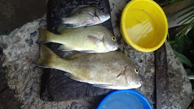 Morning Star Restaurant