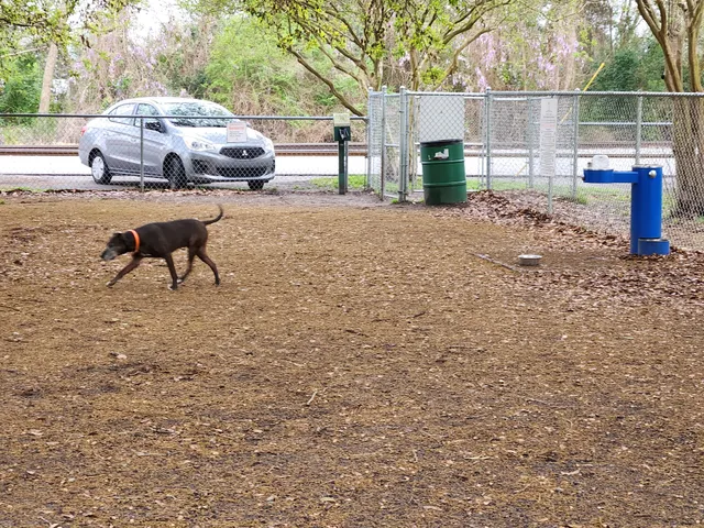 Dog Park (Monk Mallard Park)