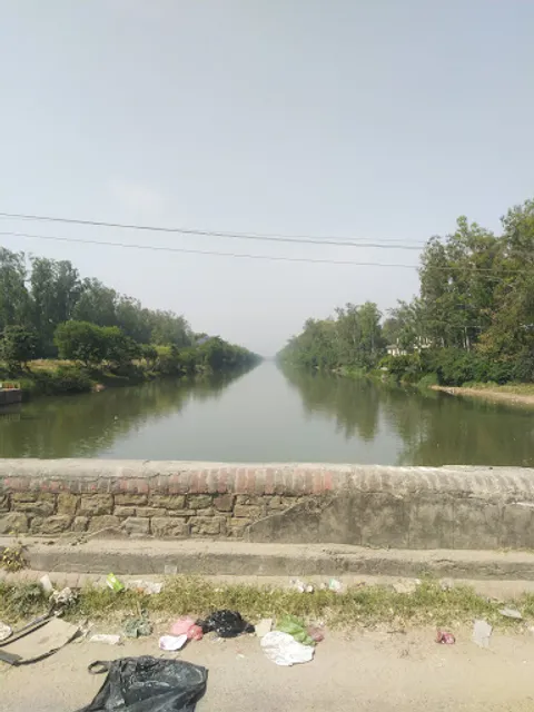 New Kitty Hall Neelon Pull