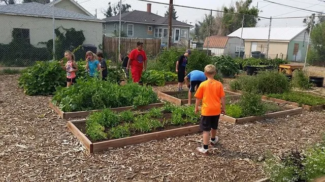 Wyoming Food for Thought Project