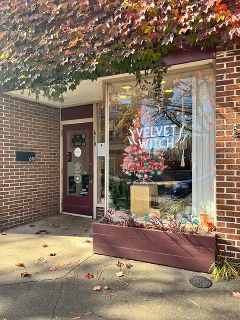 Velvet Witch