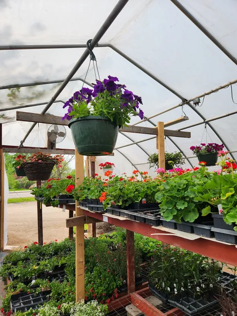 Green Leaf Greenhouse