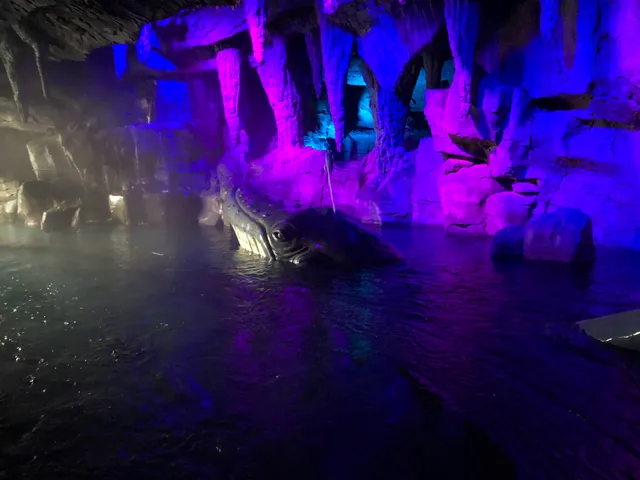 Whale Adventures Northern Lights