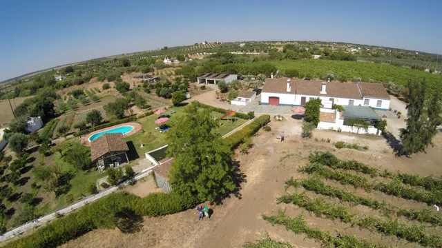 Monte Horta Maria Francisca