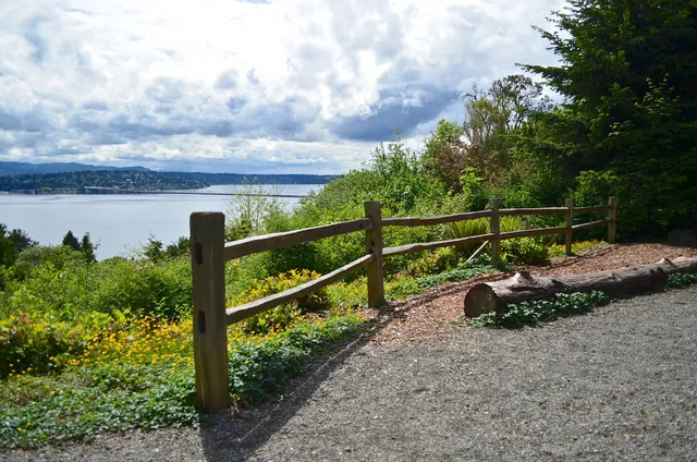 Leschi-Lake Dell Natural Area
