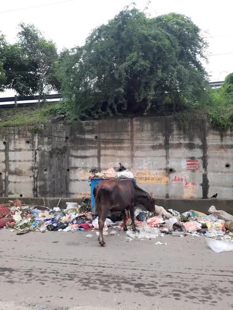 Corporation of Chennai, Ambattur Office, Zone 7