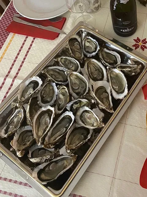 Tilusa "L'ostrica ruffiana" Peschiera del Padrongianus