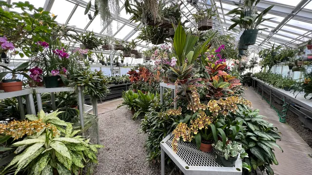 Orchid greenhouse