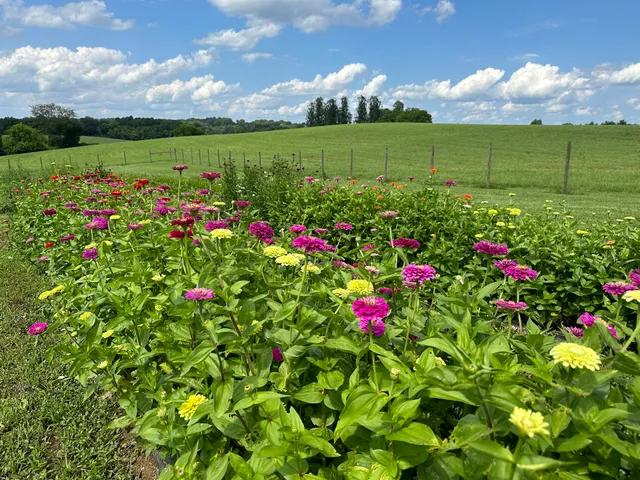 Clark's Farm (produce at Clark’s Elioak Farm)