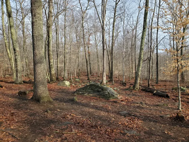 Nichols Field Disc Golf Course